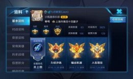 王者荣耀李九爆料视频