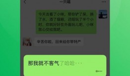 荣耀一弹最新爆料群微信,群微信曝光神秘新机，性能与设计双升级！